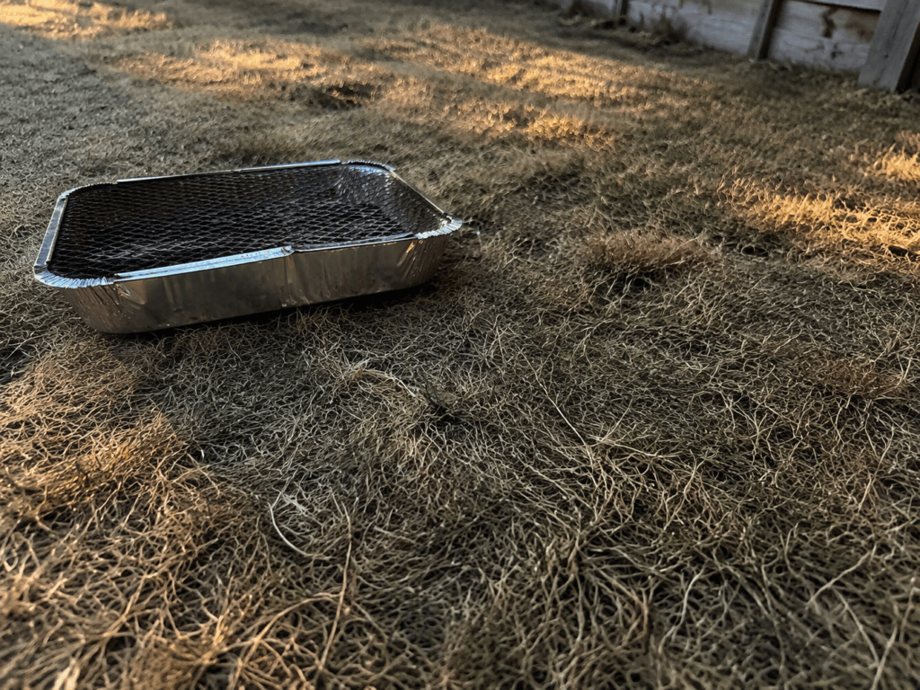 A disposable barbecue left on a patch of scorched, tinder-dry grass, illustrating the wildfire risk behind the government's emergency alert.